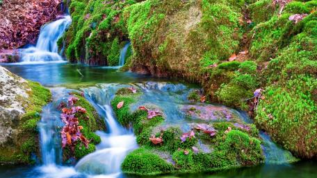 Serenity in Nature’s Waterfall Beauty wallpaper