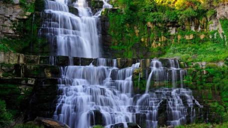 Shoolpaneshwar Wildlife Sanctuary wallpaper