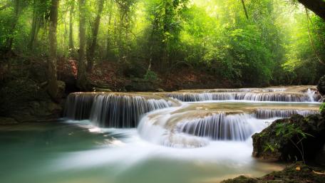 Tranquil Flow of Nature's Cascade wallpaper