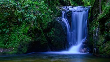 Tranquil Waterfall in a Lush Green Setting wallpaper