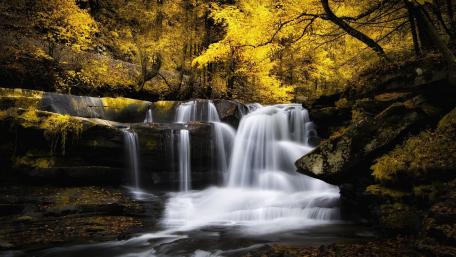 Golden Autumn Waterfall Serenity wallpaper
