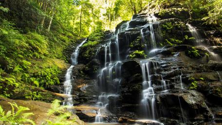 Majestic Waterfall Amidst Lush Greenery wallpaper