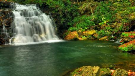 Serene Waterfall in Lush Greenery wallpaper