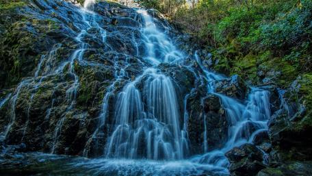 Mary Vine Creek falls wallpaper
