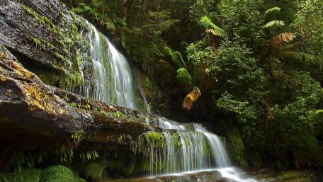 Serene Waterfall in Lush Greenery wallpaper