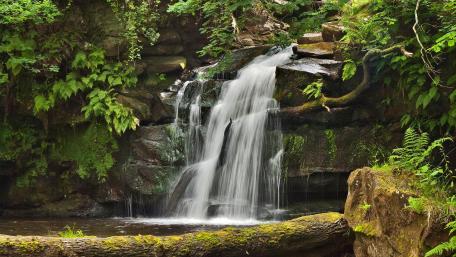 Serene Waterfall Amidst Lush Greenery wallpaper