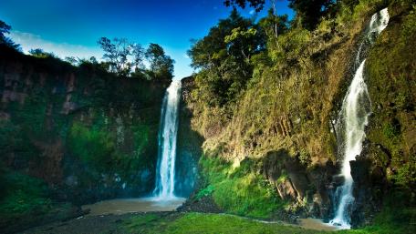 Majestic Waterfalls Embraced by Nature wallpaper