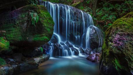 Serene Cascade in Lush Forest Surroundings wallpaper