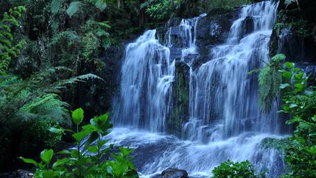 Serenity of a Majestic Waterfall wallpaper