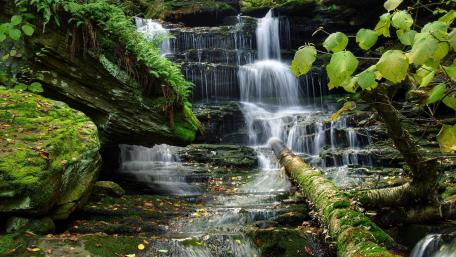 Ricketts Glen State Park wallpaper