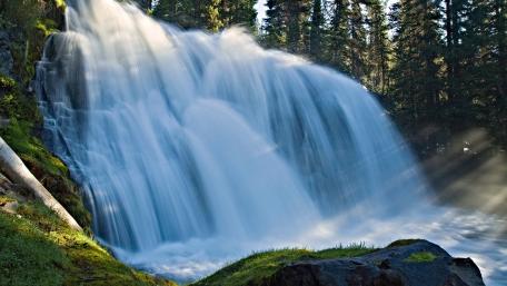 Majestic Waterfall Surrounded by Lush Forests wallpaper