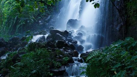 Serene Waterfall in Lush Greenery wallpaper
