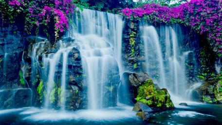 Magical Tropical Waterfall Scene wallpaper
