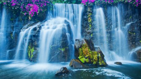Serene Cascading Waterfall Surrounded by Vibrant Blooms wallpaper
