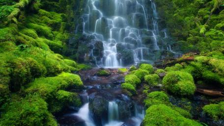 Serene Waterfall Amidst Lush Greenery wallpaper