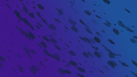Paints wallpaper