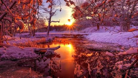 Winter sunrise wallpaper