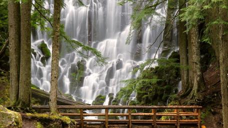 Majestic Waterfall Surrounded by Ancient Forests wallpaper