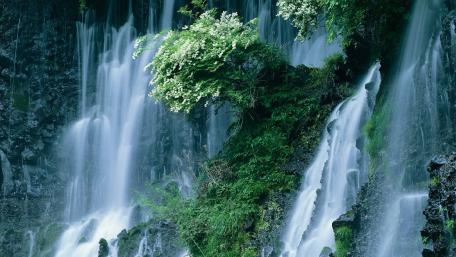 Tranquil Waterfall in Lush Greenery wallpaper