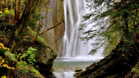 Serenity in Nature's Cascade wallpaper