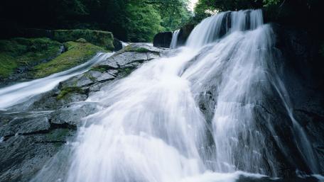 Tranquil Cascade of Nature's Beauty wallpaper