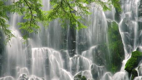Serene Waterfall in Lush Greenery wallpaper