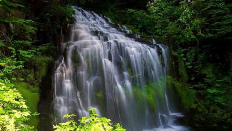 Bridal Veil Falls Provincial Park wallpaper
