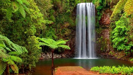 Serene Waters of the Hidden Falls wallpaper
