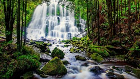 Nelson Falls wallpaper