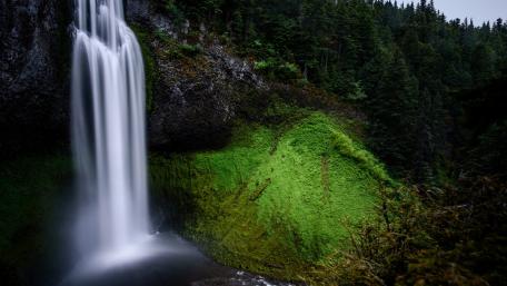 Majestic Waterfall Surrounded by Lush Greenery wallpaper