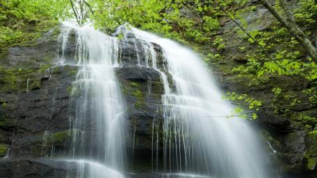 Tranquil Waterfall Amidst Lush Greenery wallpaper