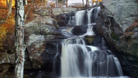 Serene Waterfall Amidst Autumn Foliage wallpaper