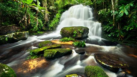 Serene Mossy Waterfall in Lush Forest Setting wallpaper