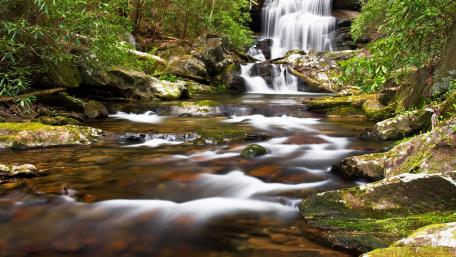 Serene Forest Waterfall Scene wallpaper