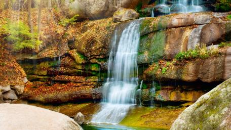 Serene Forest Waterfall in 5K Resolution wallpaper