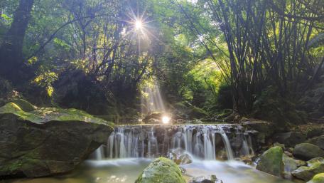 Tranquil Forest Stream with Sunlight Burst wallpaper