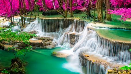 Serene Waterfall in a Magical Forest wallpaper