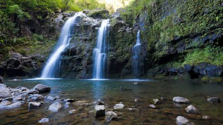 Serene Waterfall Oasis with Lush Greenery wallpaper