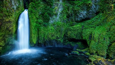 Serenity in Nature’s Embrace wallpaper