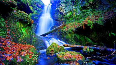 Enchanting Forest Waterfall Scene wallpaper