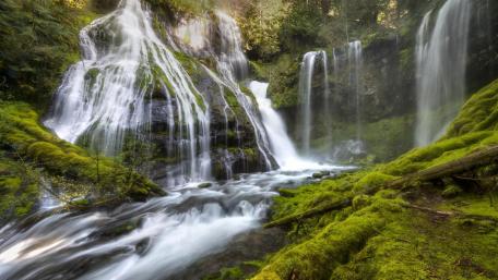 Gifford Pinchot National Forest wallpaper