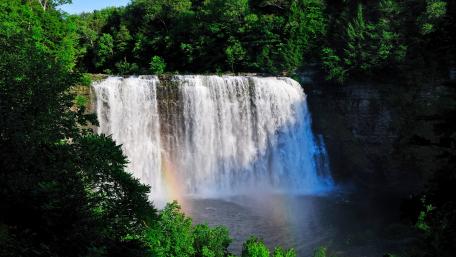 Majestic Waterfall Surrounded by Lush Greenery wallpaper