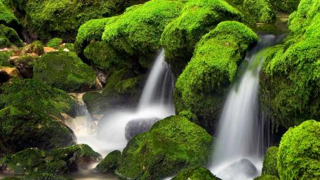 Serene Flow of a Hidden Waterfall wallpaper