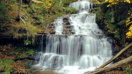 Serenity in Nature's Cascades wallpaper