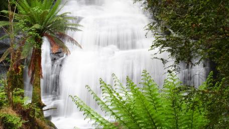 Serene Waterfall Surrounded by Lush Greenery wallpaper