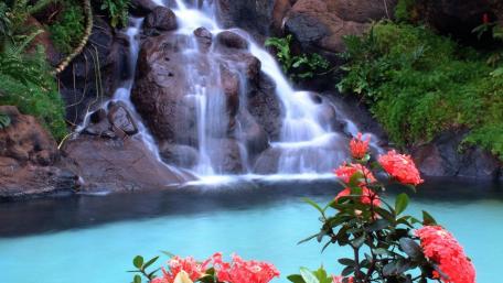 Serene Waterfall Surrounded by Vibrant Flowers wallpaper