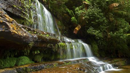 Tranquil Waterfall in Lush Greenery wallpaper