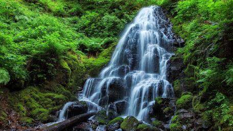 Serene Waterfall in Lush Greenery wallpaper