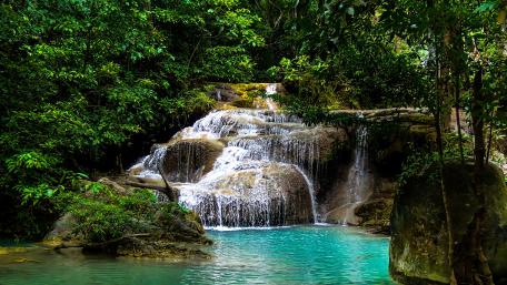Serene Waterfall in Lush Greenery wallpaper