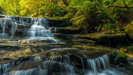 Serene Waterfall in Lush Greenery wallpaper